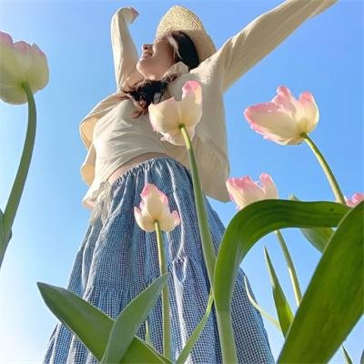热播电视剧